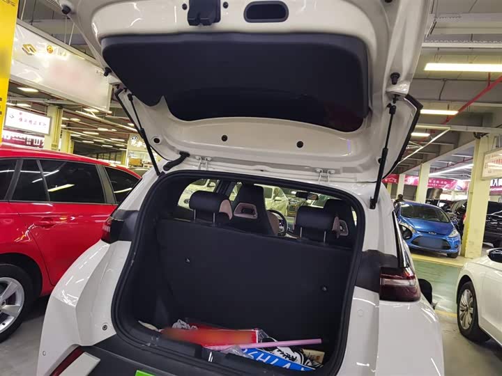 BYD Seagull 2025 2025款 305km 自由版