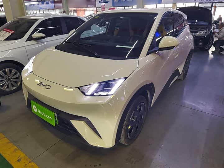 BYD Seagull 2025 2025款 305km 自由版