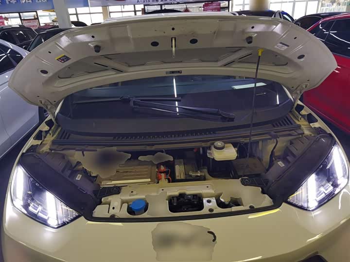 BYD Seagull 2025 2025款 305km 自由版