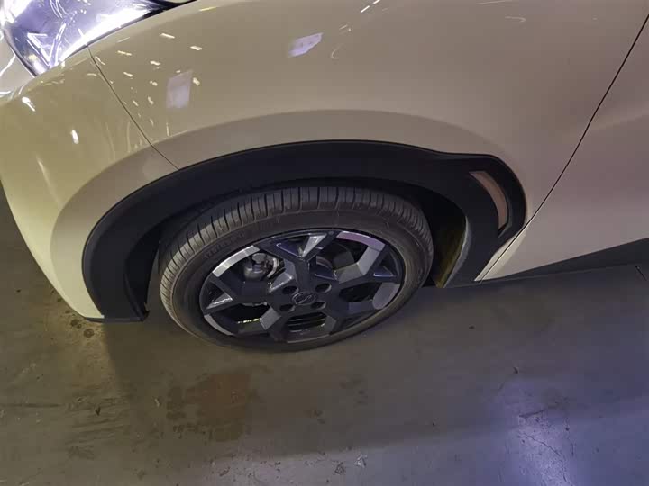 BYD Seagull 2025 2025款 305km 自由版