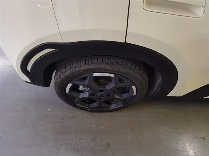 BYD Seagull 2025 2025款 305km 自由版