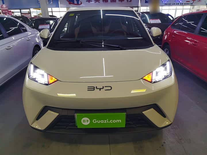 BYD Seagull 2025 2025款 305km 自由版