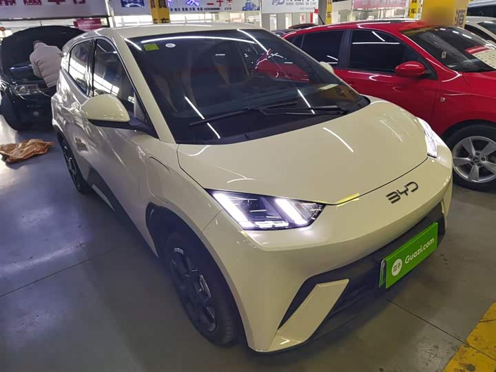 BYD Seagull 2025 2025款 305km 自由版