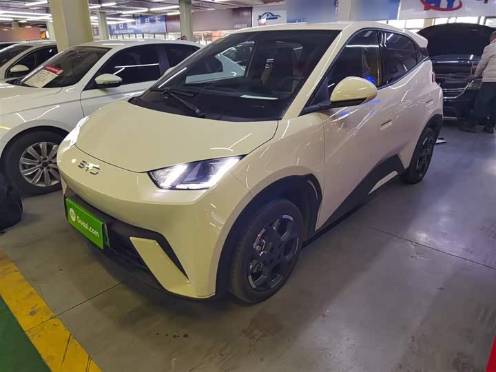 BYD Seagull 2025 2025款 305km 自由版