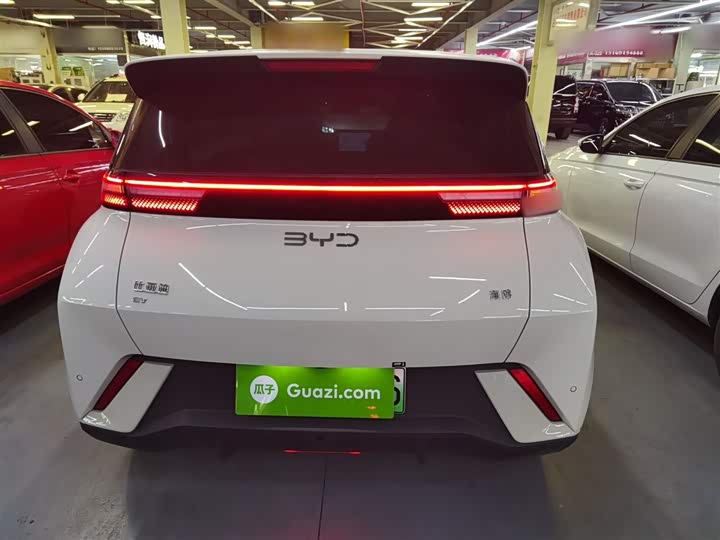 BYD Seagull 2025 2025款 305km 自由版