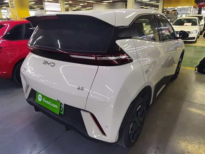 BYD Seagull 2025 2025款 305km 自由版