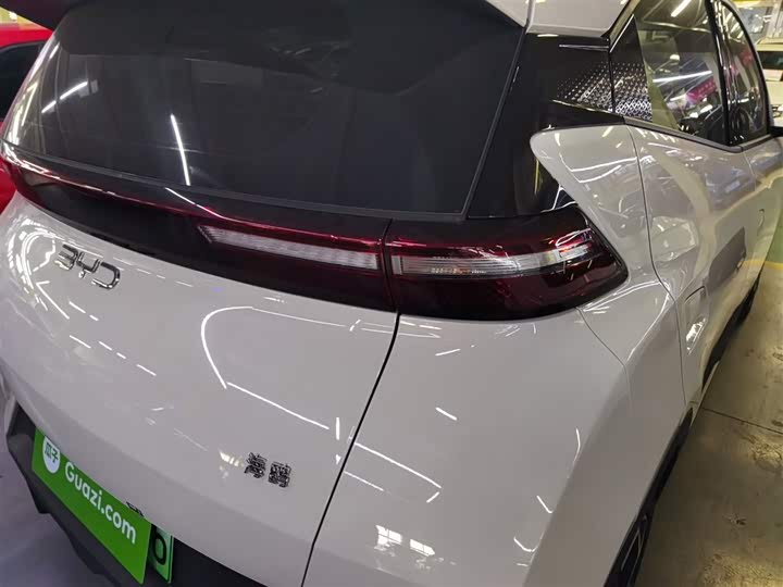 BYD Seagull 2025 2025款 305km 自由版