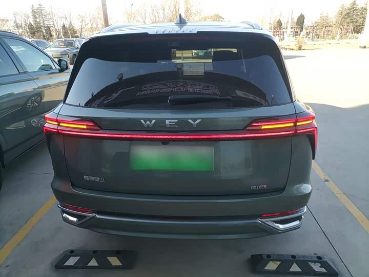 Wey Lanshan 2025 2025款 四驱智驾 Max