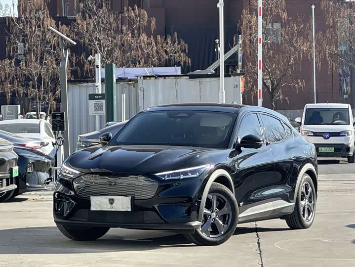 Ford Mustang Mach-E 2021 2021款 跃世后驱版(标准续航)