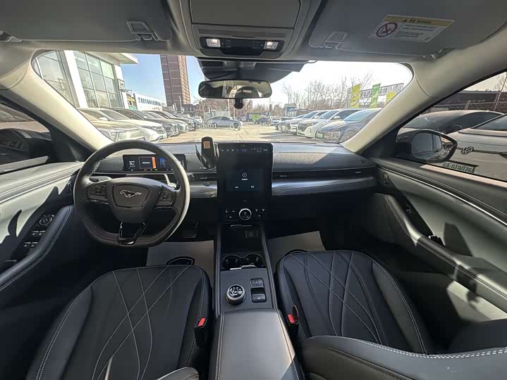 Ford Mustang Mach-E 2021 2021款 跃世后驱版(标准续航)