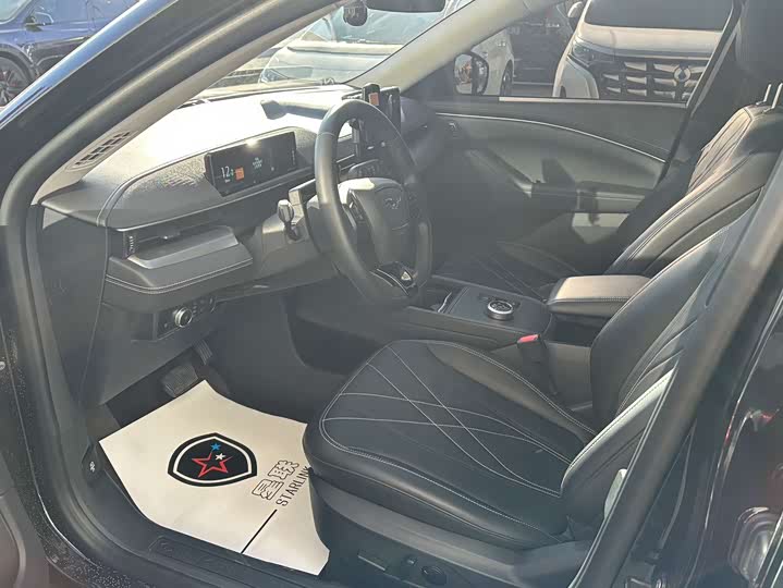 Ford Mustang Mach-E 2021 2021款 跃世后驱版(标准续航)