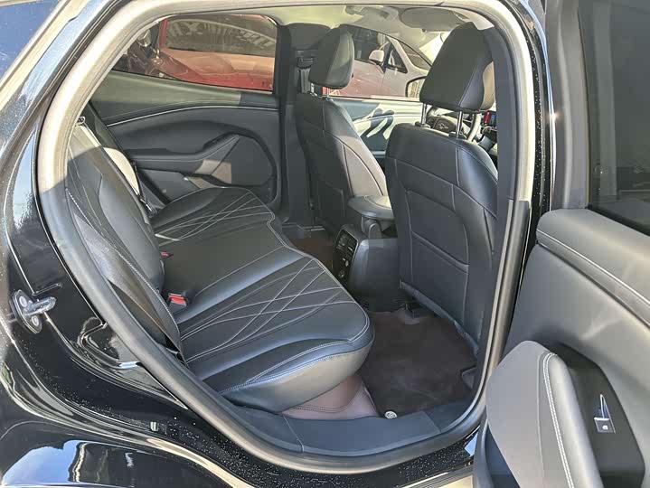 Ford Mustang Mach-E 2021 2021款 跃世后驱版(标准续航)