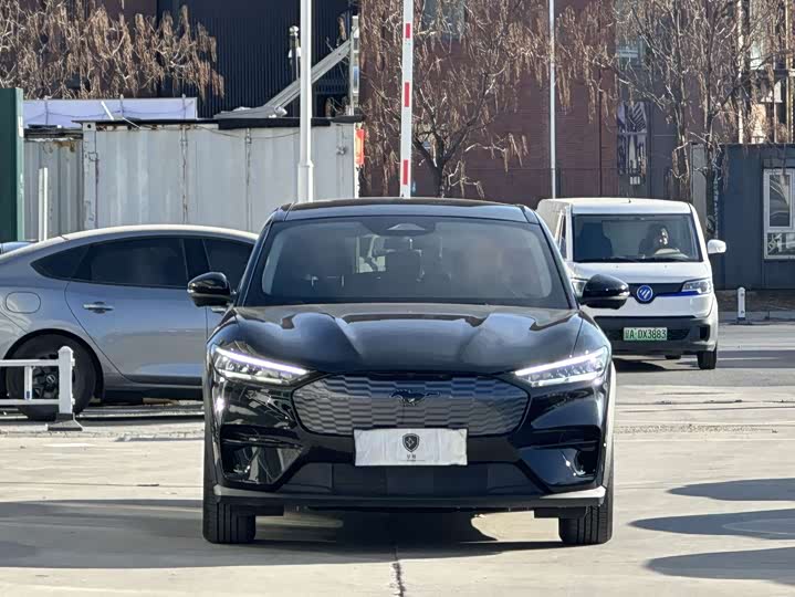 Ford Mustang Mach-E 2021 2021款 跃世后驱版(标准续航)