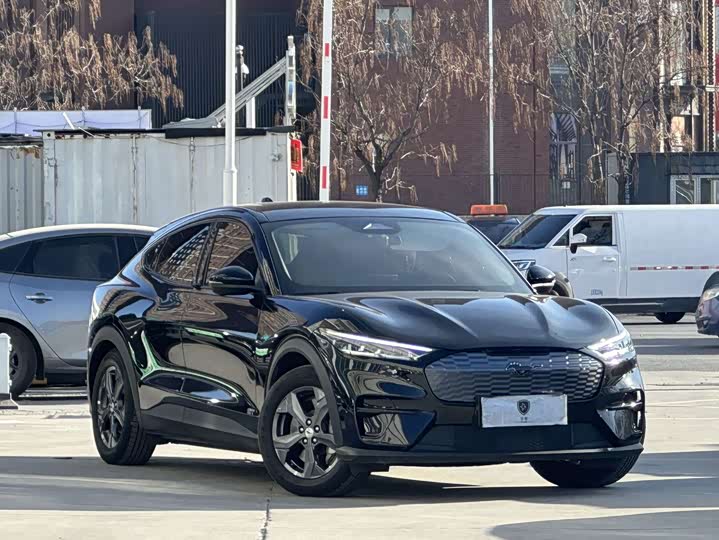Ford Mustang Mach-E 2021 2021款 跃世后驱版(标准续航)