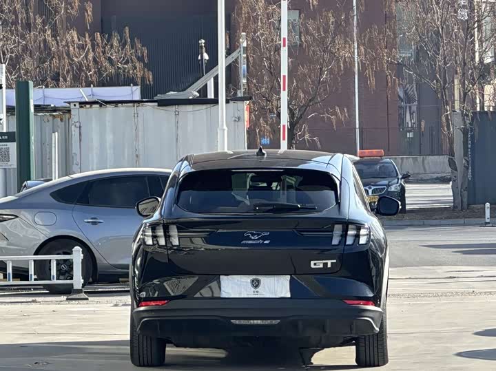 Ford Mustang Mach-E 2021 2021款 跃世后驱版(标准续航)