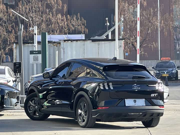 Ford Mustang Mach-E 2021 2021款 跃世后驱版(标准续航)