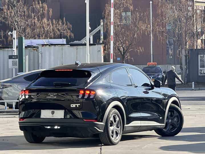 Ford Mustang Mach-E 2021 2021款 跃世后驱版(标准续航)