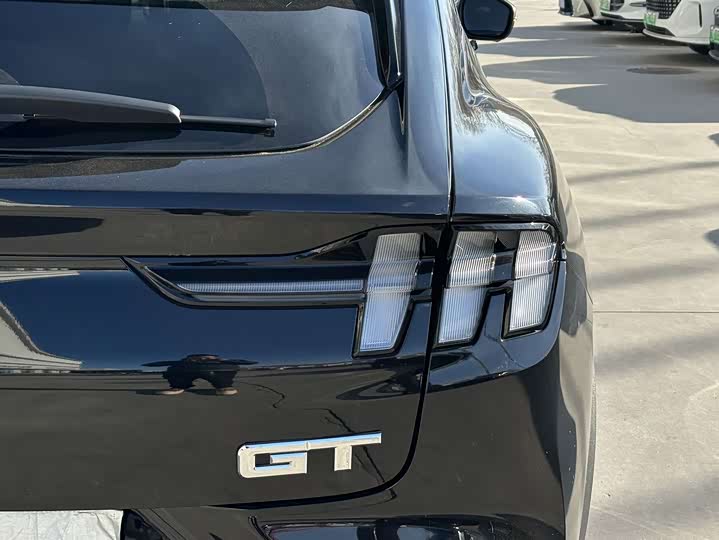 Ford Mustang Mach-E 2021 2021款 跃世后驱版(标准续航)