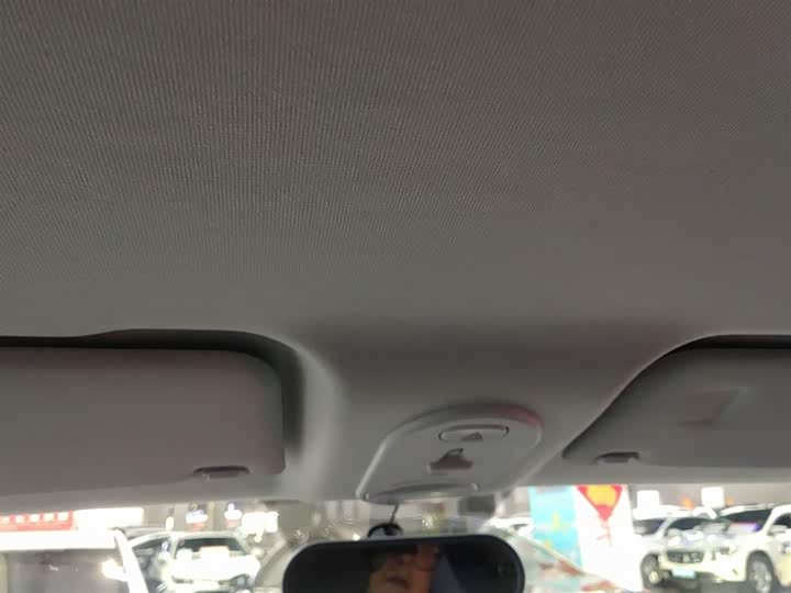 Bestune Pony 2025 2025款 222km 灵动马