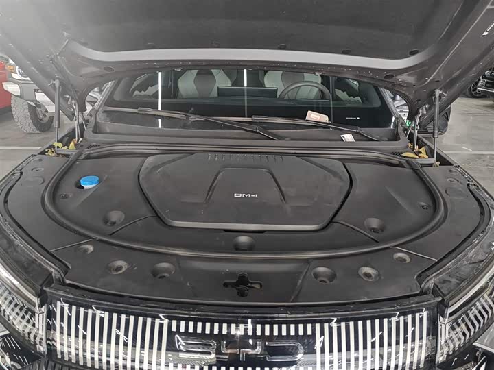 BYD Frigate 07 2023 2023款 DM-i 100KM 旗舰型