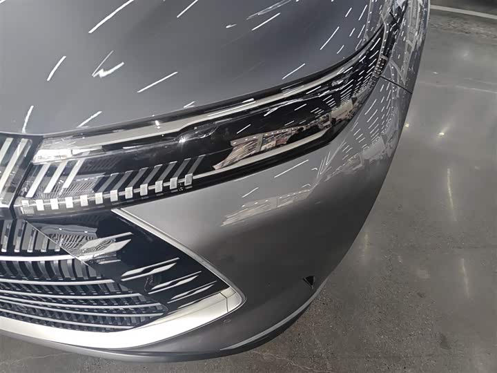 BYD Frigate 07 2023 2023款 DM-i 100KM 旗舰型