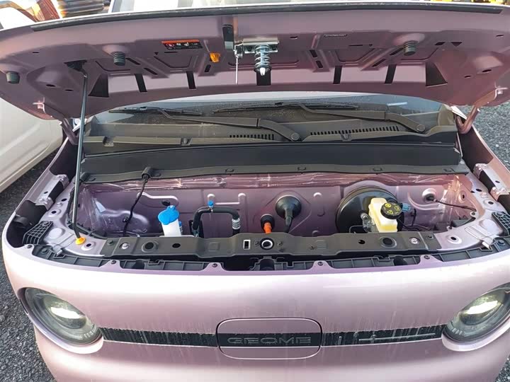 Geely Galaxy Panda Mini 2025 2025款 熊猫mini 210km 元气熊