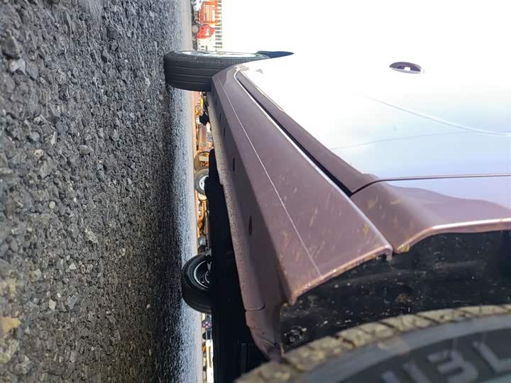 Geely Galaxy Panda Mini 2025 2025款 熊猫mini 210km 元气熊