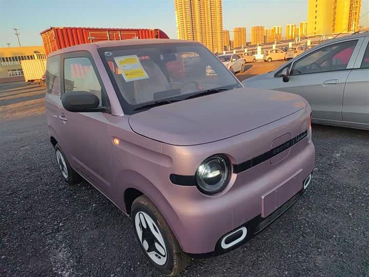 Geely Galaxy Panda Mini 2025 2025款 熊猫mini 210km 元气熊