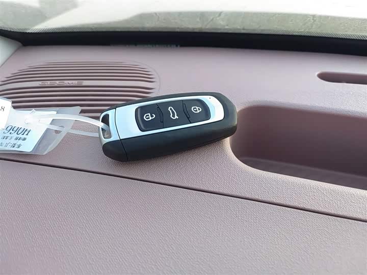 Geely Galaxy Panda Mini 2025 2025款 熊猫mini 210km 元气熊