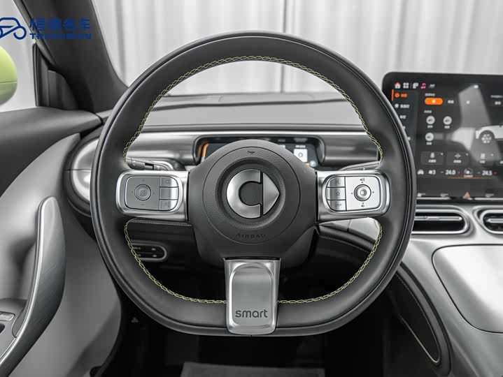 Smart #1 2024 2024款 Pro+版