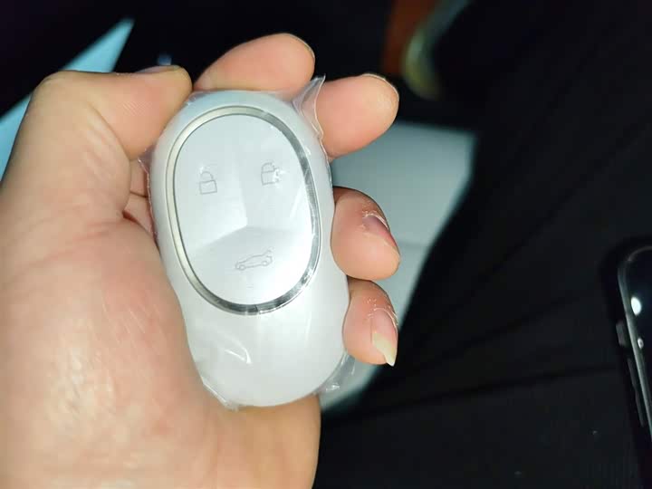 Nio ET7 2024 2024款 75kWh 行政版