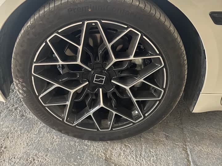 Zeekr 001 2025 2025款 WE版 95kWh 四驱