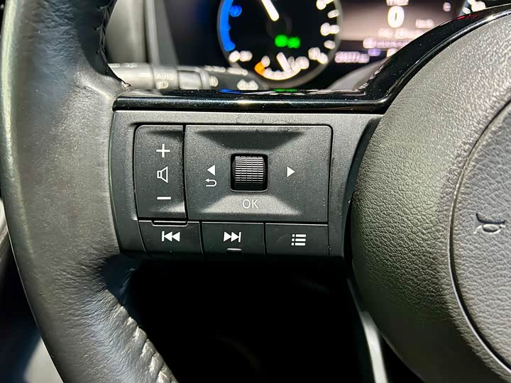 Nissan X-Trail 2023 2023款 e-POWER 超混双电机四驱豪华版