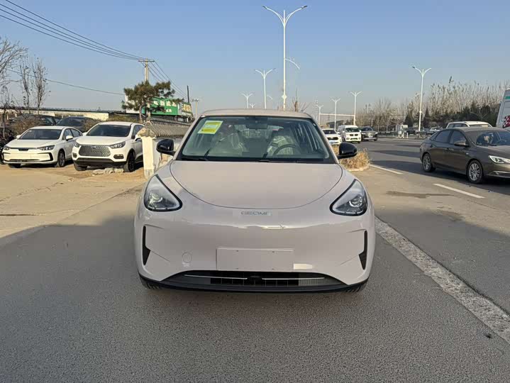 Geely Galaxy Geome 2026 2026款 410km 自在版