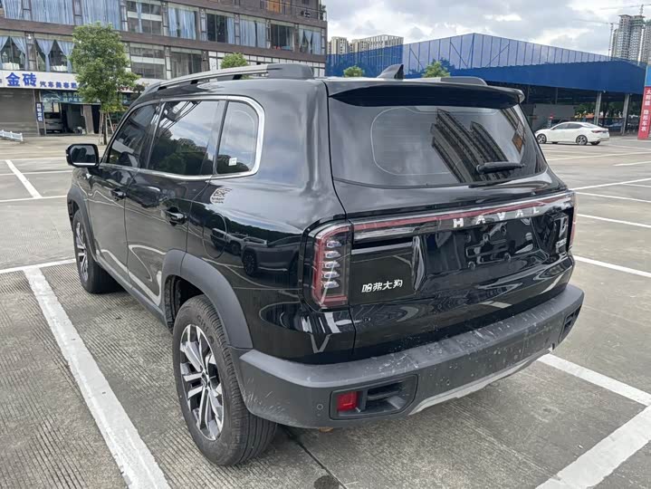 Haval Dargo 2024 2024款 1.5T DCT边牧版