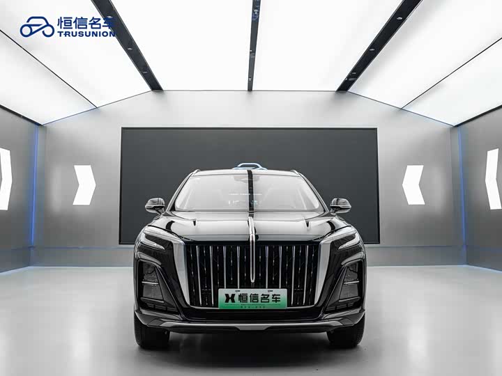 Hongqi HS3 Hybrid 2024 2024款 115km 劲为版