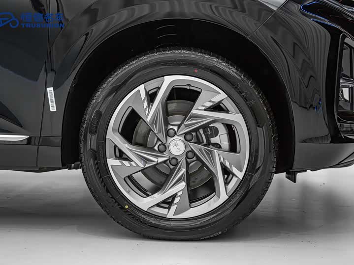 Hongqi HS3 Hybrid 2024 2024款 115km 劲为版