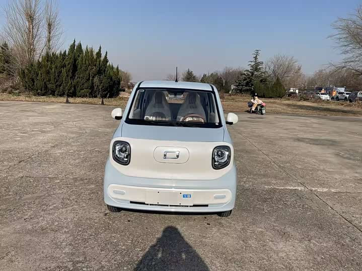 Bestune Pony 2026 2026款 222km 炫彩马