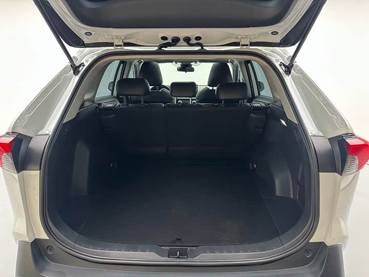 Toyota RAV4 2024 2024款 2.0L CVT两驱风尚版