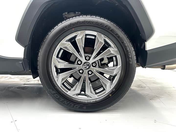 Toyota RAV4 2024 2024款 2.0L CVT两驱风尚版