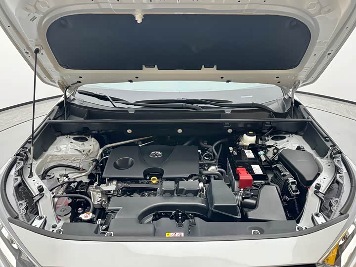 Toyota RAV4 2024 2024款 2.0L CVT两驱风尚版