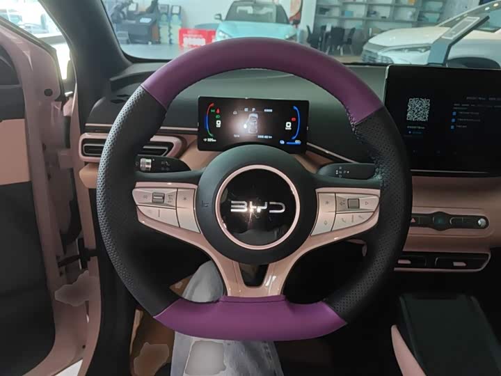 BYD Seagull 2025 2025款 智驾版 305km 活力版