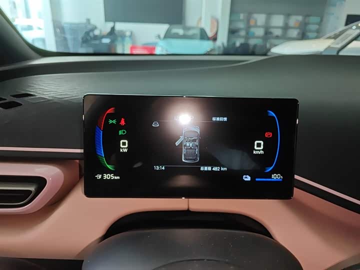 BYD Seagull 2025 2025款 智驾版 305km 活力版