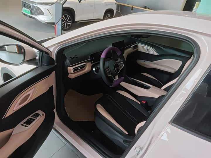 BYD Seagull 2025 2025款 智驾版 305km 活力版