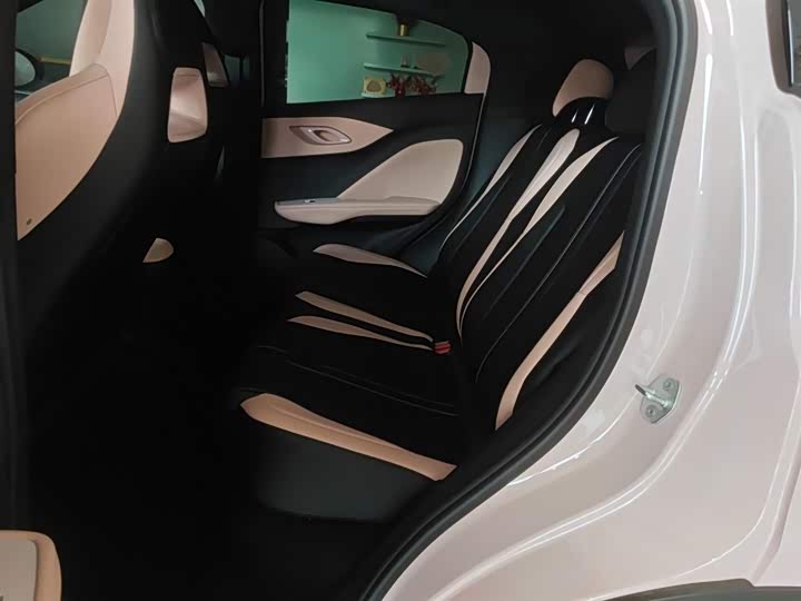 BYD Seagull 2025 2025款 智驾版 305km 活力版