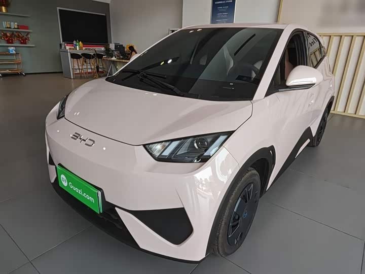 BYD Seagull 2025 2025款 智驾版 305km 活力版