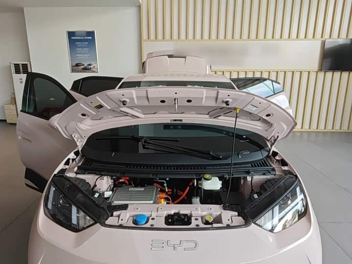 BYD Seagull 2025 2025款 智驾版 305km 活力版