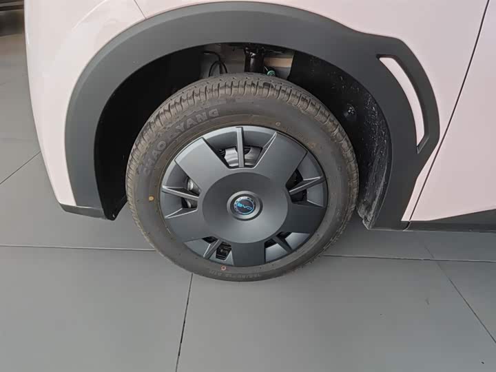 BYD Seagull 2025 2025款 智驾版 305km 活力版