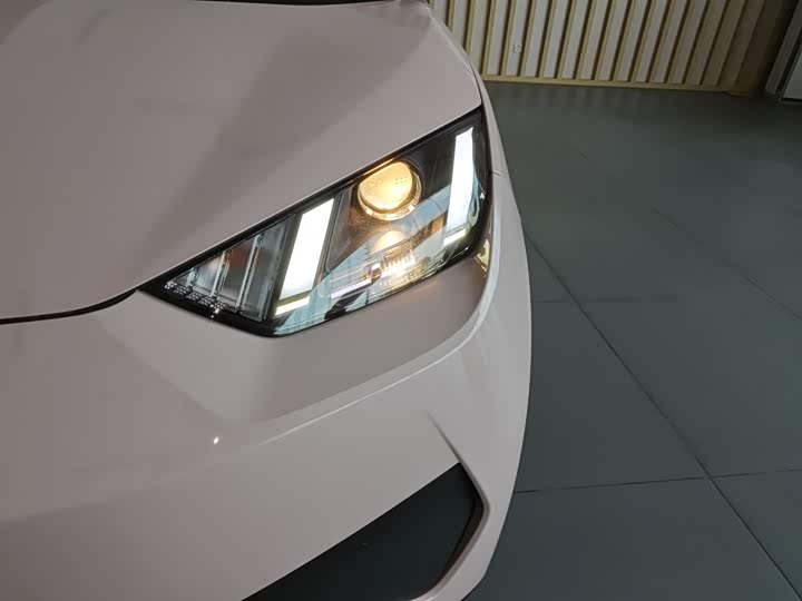 BYD Seagull 2025 2025款 智驾版 305km 活力版