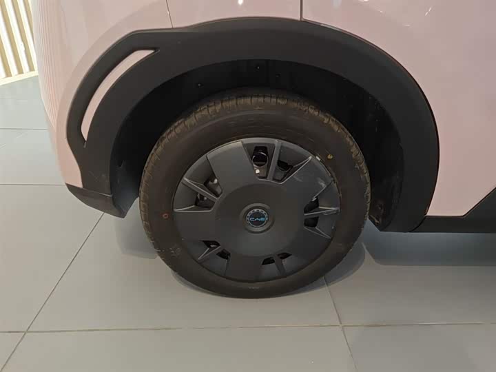 BYD Seagull 2025 2025款 智驾版 305km 活力版